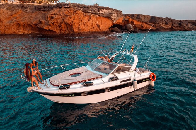 3 Hour Shared Motor Yacht Boat Trip & Snorkeling With Small Group - Whale and dolphin watching along Costa Adeje