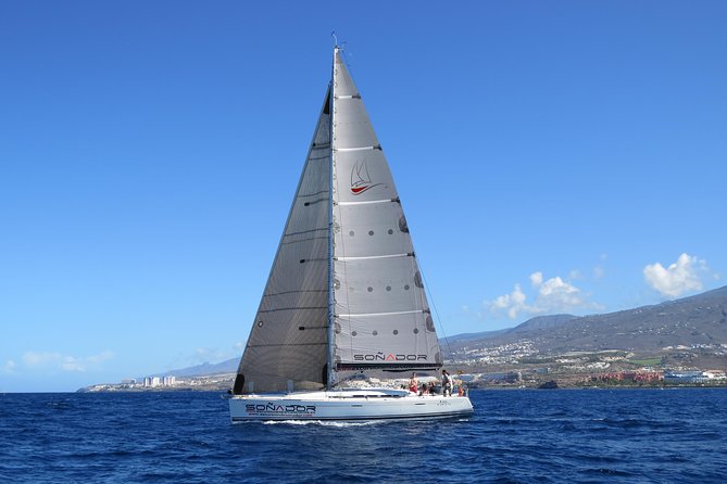 3 Hours All Inclusive Whale and Dolphin Whatching Yacht Trip - Sailing past Los Gigantes and toward Masca