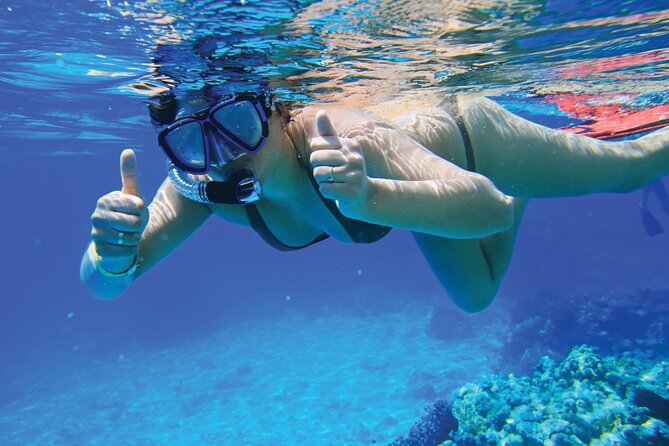 4 Hour Private Yacht Tour Mallorca - Swimming, snorkeling, and paddleboarding