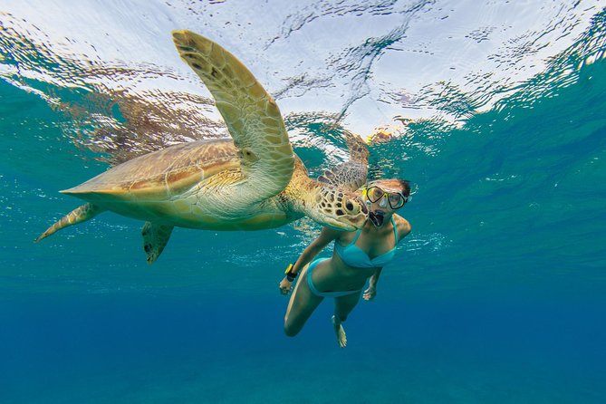 50' Luxury Yacht. Private Full or Half Day Catamaran Snorkel, & Beach Experience - Drinks, Lunch, and the Real Cost