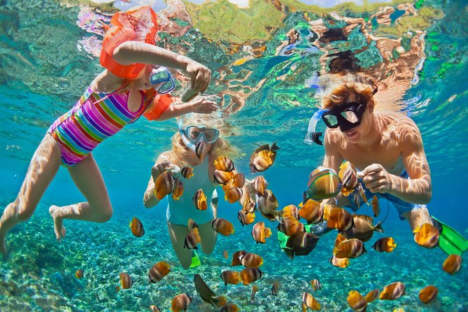 50' Luxury Yacht. Private Full or Half Day Catamaran Snorkel, & Beach Experience - How the Captain Shapes Your Route