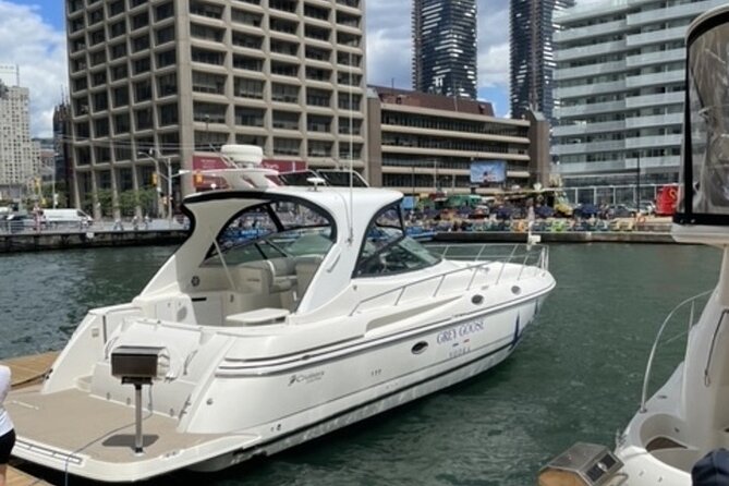 60-Minute Toronto Luxury Yacht Sightseeing Prosecco Cruise! - Returning through the busy harbour