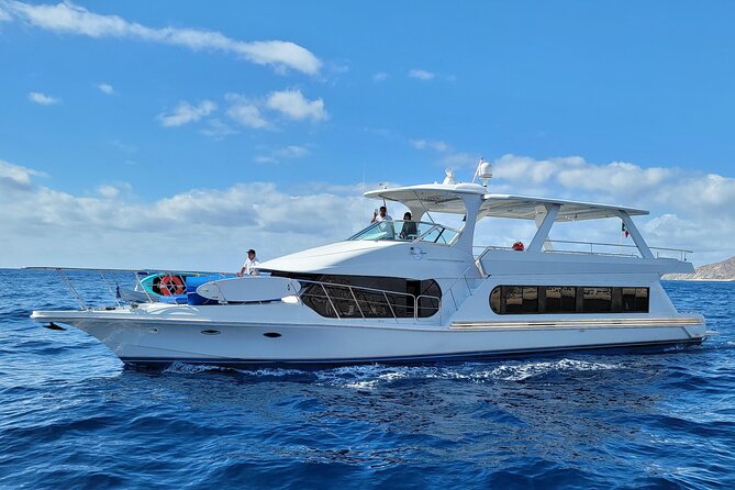 All Inclusive HUGE 75ft Yacht Up to 50 Guests Early Bird Promo - What this Cabo yacht trip is really like