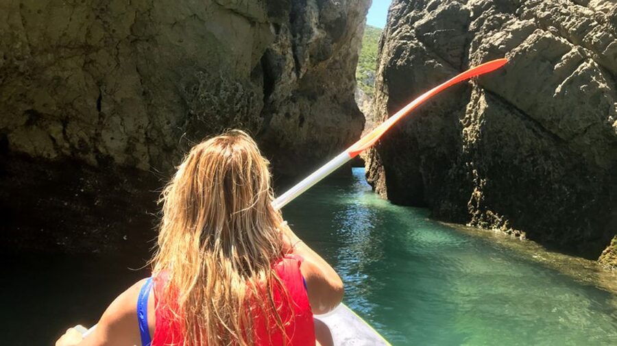 Arrábida Full-Day Yacht Tour from Lisbon - Watching for dolphins and rare birds