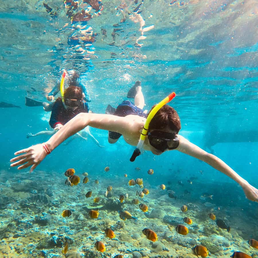 Bali: Private Yacht Snorkel at Manta Point & 2 Spots Penida - What to Pack for a Six-Hour Boat Day