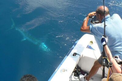 Privat fishing trip in a yacht