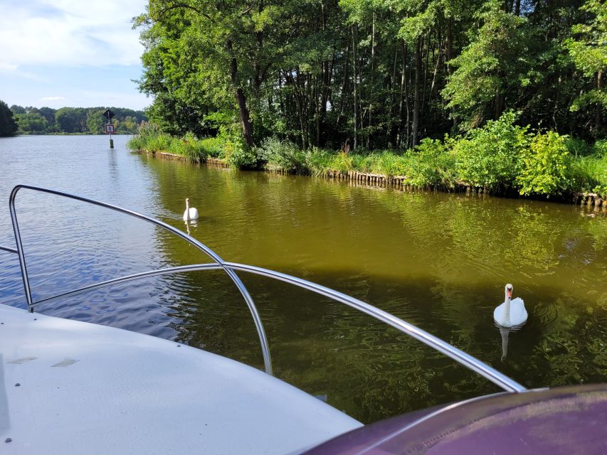 Berlin:Guided South Berlin Yacht Tour with Swim Stop (relax) - A slower look at Prieros