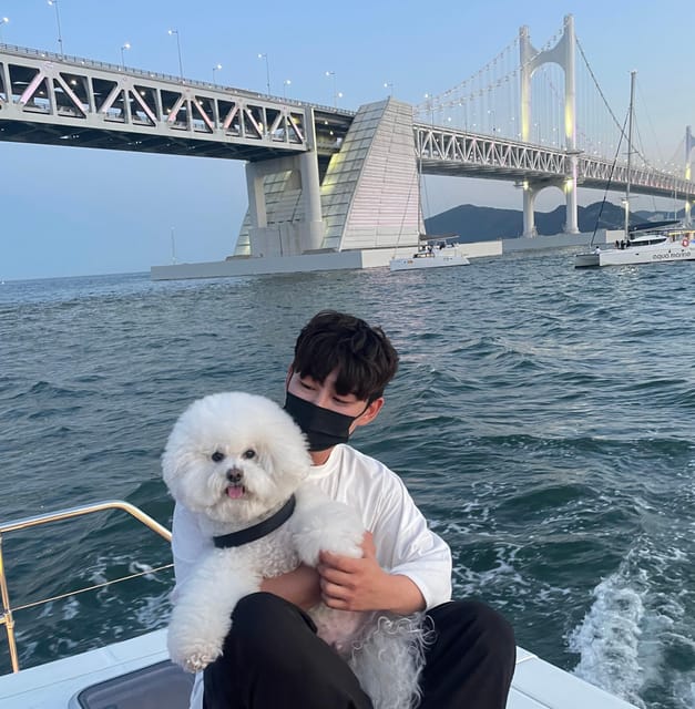 Busan: Group Sightseeing Yacht Cruise with Snacks and Drinks - Key points to know before booking