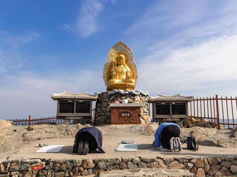 Busan's Best: Sea Temples, Yacht Tour & Sky Capsule Day Tour - A 70-minute yacht view of Busan