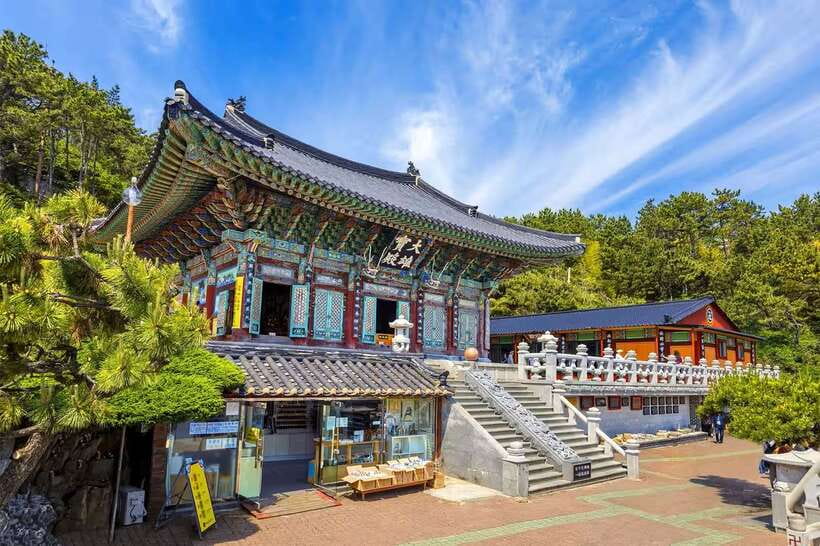 Busan's Best: Sea Temples, Yacht Tour & Sky Capsule Day Tour - Gamcheon Culture Village and its painted lanes