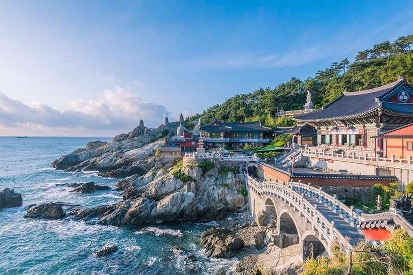 Busan's Best: Sea Temples, Yacht Tour & Sky Capsule Day Tour - Is $89 good value?