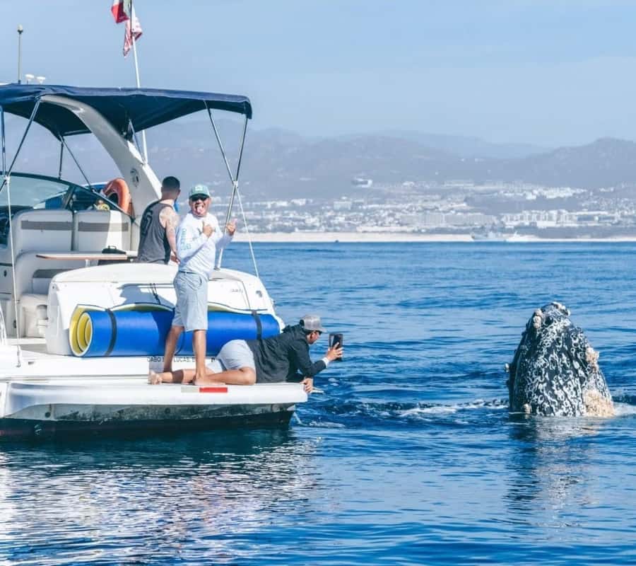 Cabo: Private Yacht Tour, Water Activities, Lunch & Drinks - What the three-hour schedule really allows