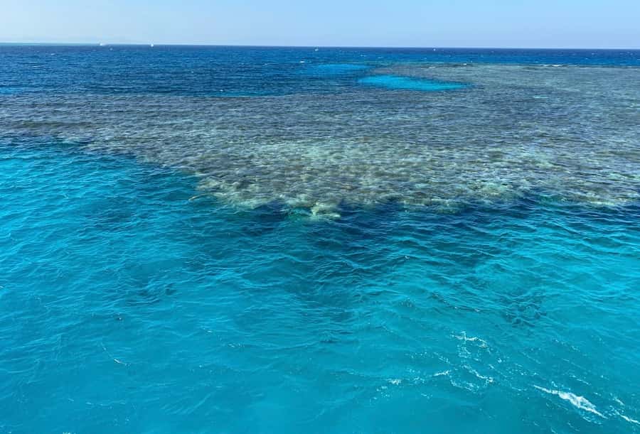 Cairo to Red Sea: VIP Yacht Cruise, Snorkeling & Lunch - The one-hour cruise toward the snorkeling area