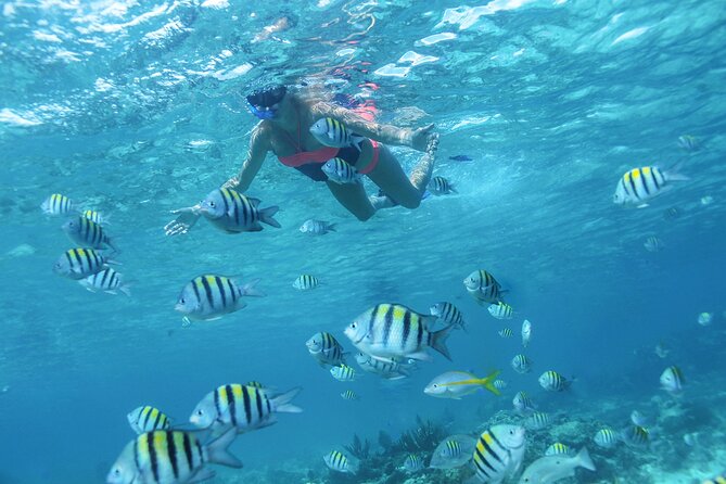 Cancun 4 hour Private Yacht Experience with Lunch and Open Bar Onboard - Playa Norte and time near Isla Mujeres