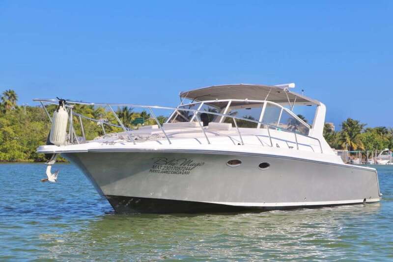 Cancún: Private Yacht Tour - Should you book the Cancún private yacht tour?