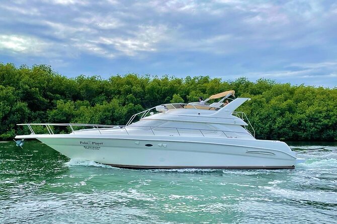 Cancun Yacht Tour - SEARAY YACHT 46 FT GREAT FOR SUNSET 15 PEOPLE MAX 25P9 - What is included, and what you need to bring