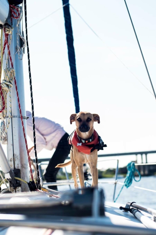 Charleston: Private BYOB Luxury Yacht Cruise - Meeting the boat and starting from the marina