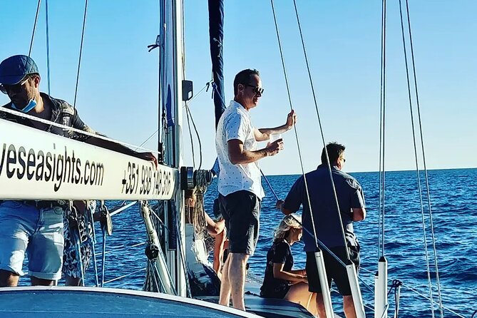 Coastal Tour on a Luxury Sailing Yacht - Vilamoura(Max 12 Guests) - A tiny beach reached from the water