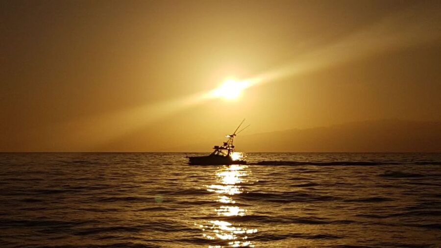 Costa Adeje: Private Yacht Sailing Tour from Puerto Colón - Swimming at a Quiet Coastal Stop