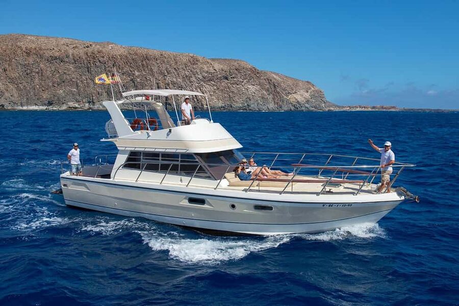 Discover whales in Tenerife: exclusive yacht tour with swim and lunch - Key points before you book