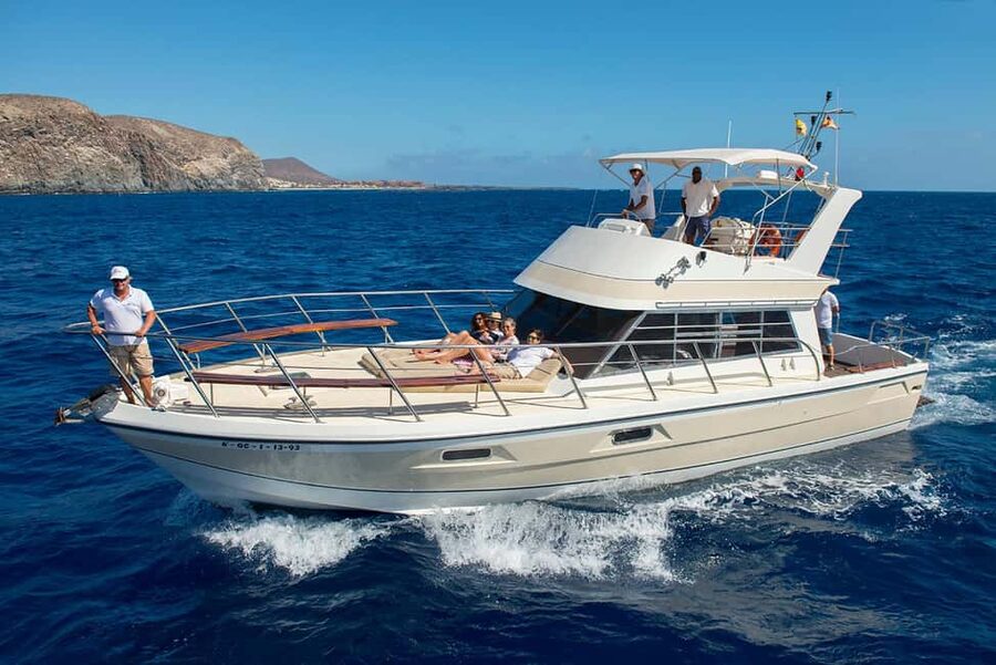 Discover whales in Tenerife: exclusive yacht tour with swim and lunch - Why this small yacht changes the day