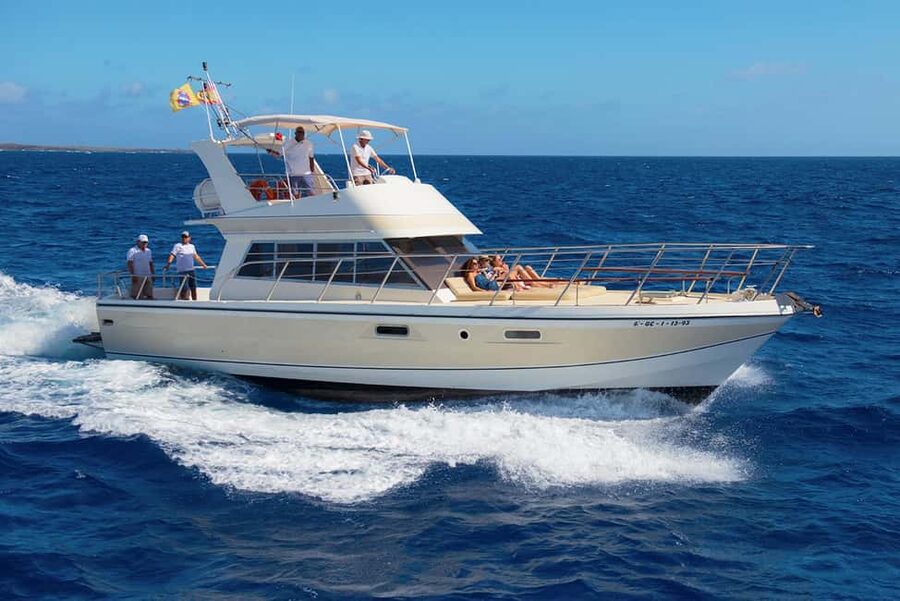 Discover whales in Tenerife: exclusive yacht tour with swim and lunch - Watching pilot whales and dolphins in open water