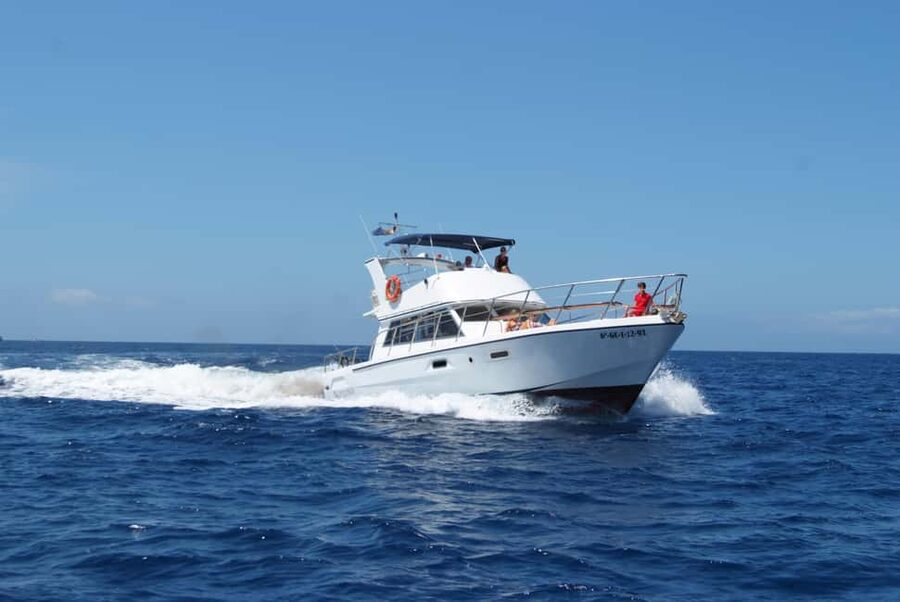 Discover whales in Tenerife: exclusive yacht tour with swim and lunch - The crew makes the difference