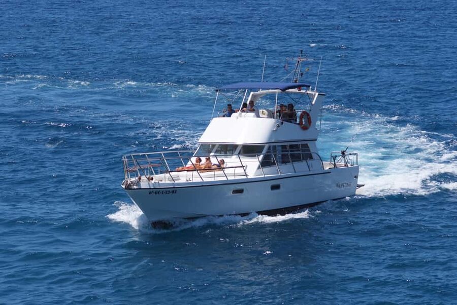 Discover whales in Tenerife: exclusive yacht tour with swim and lunch - Who will enjoy this trip most