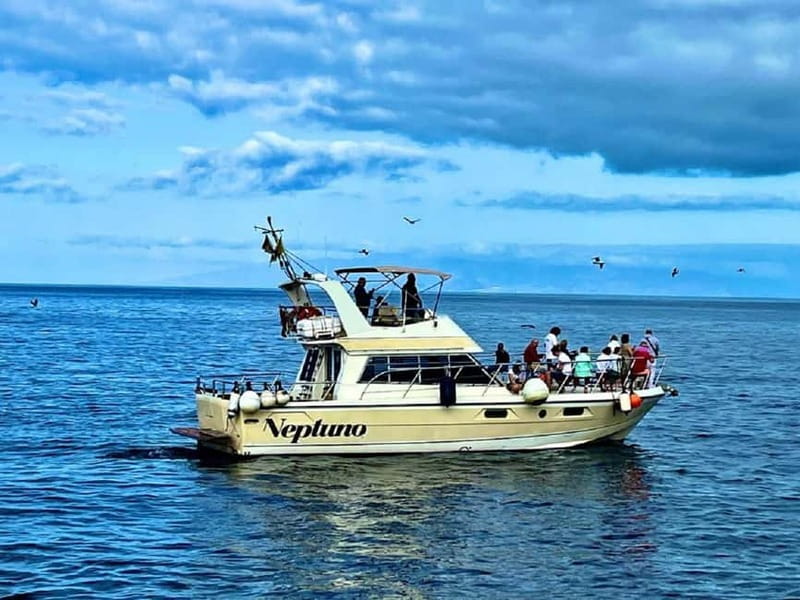 Discover whales in Tenerife: exclusive yacht tour with swim and lunch - Leaving Los Cristianos for the whale grounds