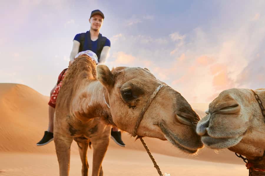 Dubai Waves & Dunes: Luxury Yacht Cruise w/ Red Dunes Safari - Choosing between the one-hour and two-hour yacht cruises