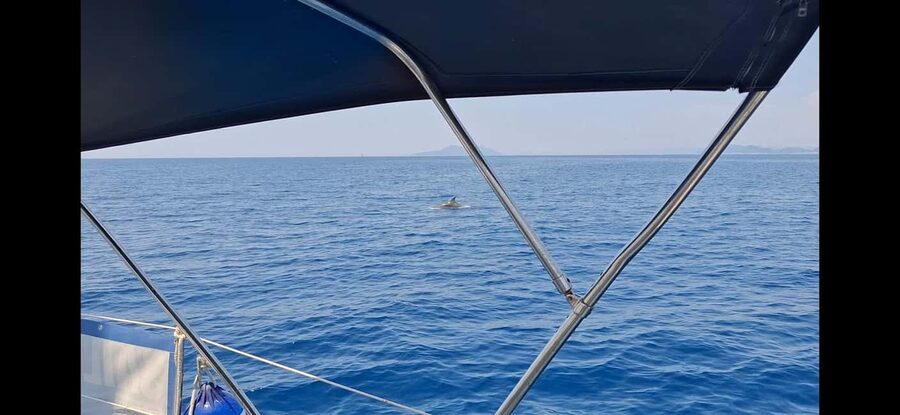 Dubrovnik yacht cruise-Elafity islands & Blue cave - What is included, and what you still need