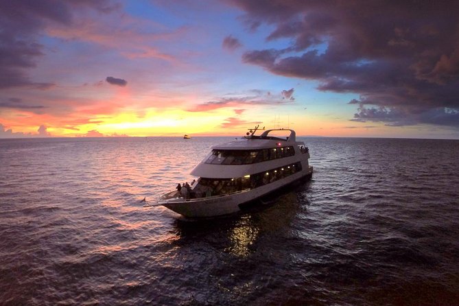Evening Yacht Cruise with Optional Dining in St. Petersburg - Key points to know before boarding
