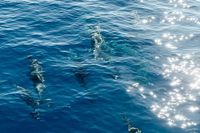 Exclusive Waikiki Yacht Snorkel with Lunch and Bevs - Who will enjoy this most?