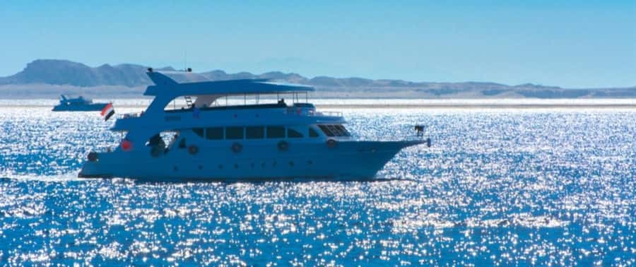 From Cairo: Snorkeling Trip on Yacht with Lunch - Leaving Cairo for Ain Sokhna