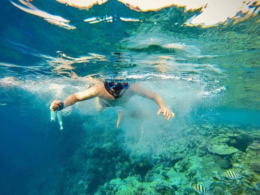 From Cairo: Snorkeling Trip on Yacht with Lunch - Three Hours of Guided Time in Cairo