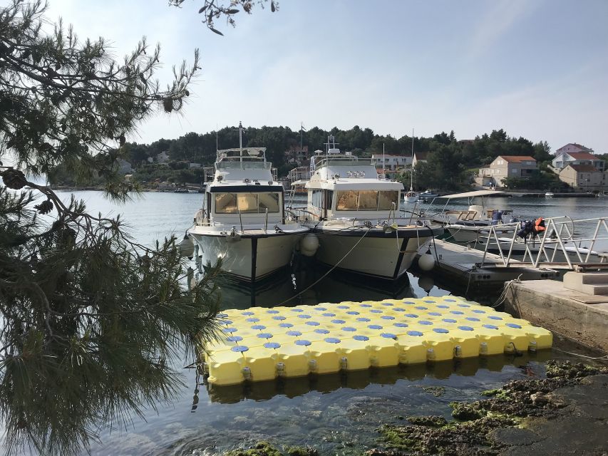 From Korcula island: Mljet Island Yacht Day Trip with Lunch - Is $353 per person fair?