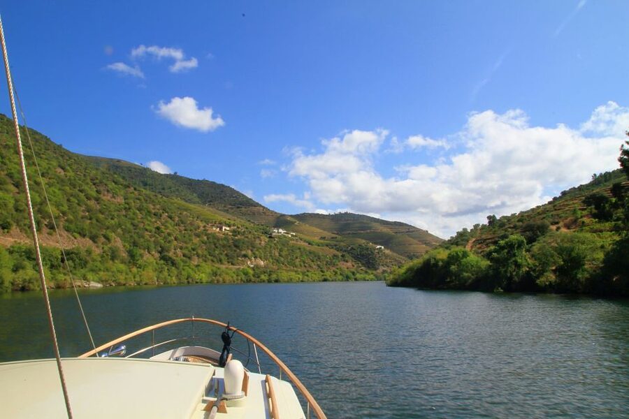 From Pinhão: Private Yacht Cruise along the Douro River - Vineyard views, stone walls, and local stories