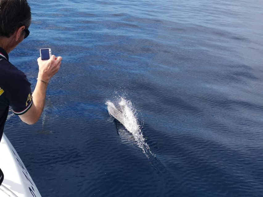 From Tazacorte: Discover the Northwest Coast by Speedy Yacht - Key Points Before You Book