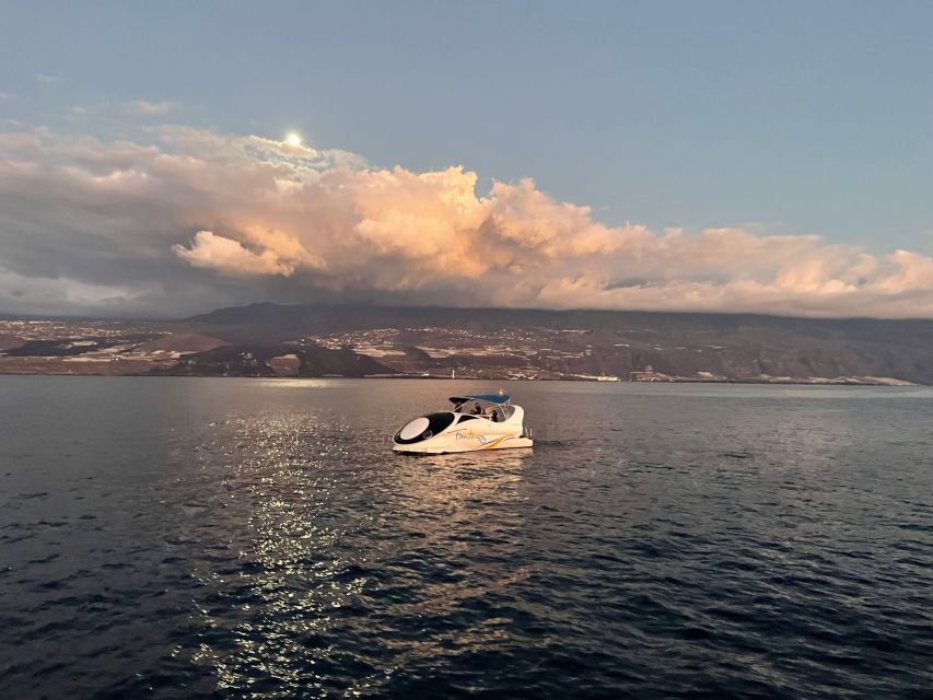 From Tazacorte: Discover the Northwest Coast by Speedy Yacht - The 2021 Lava Delta from the Sea