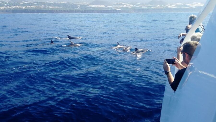 From Tazacorte: Discover the Northwest Coast by Speedy Yacht - Prois de Candelaria and Cliffside Settlements