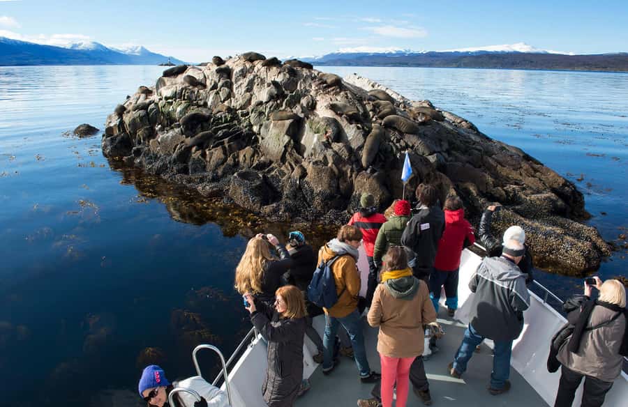 From Ushuaia: Beagle Channel Yacht Sailing Tour - Why the Beagle Channel is worth your half-day