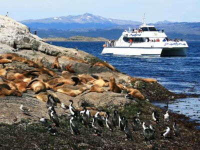 From Ushuaia: Beagle Channel Yacht Sailing Tour