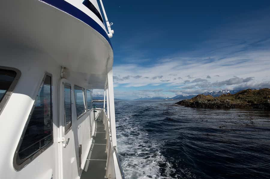 From Ushuaia: Beagle Channel Yacht Sailing Tour - Cormorants on the cliffs and islands