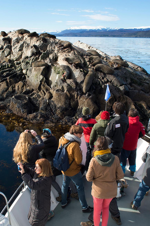 From Ushuaia: Beagle Channel Yacht Sailing Tour - Weather, comfort, and what to pack