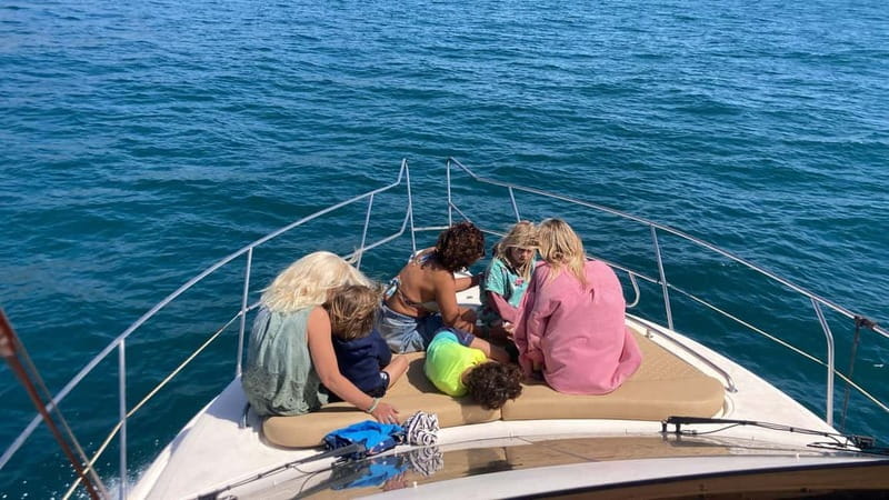 Fuengirola : 2 hours LUXURY Yacht Dolphin Trip DRINKS SNACKS - Key points at a glance