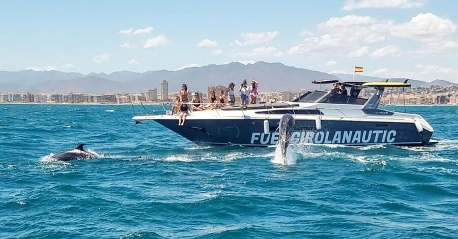 Fuengirola: Dolphin Watching by Yacht with Snacks and Drinks - Who should book this cruise?