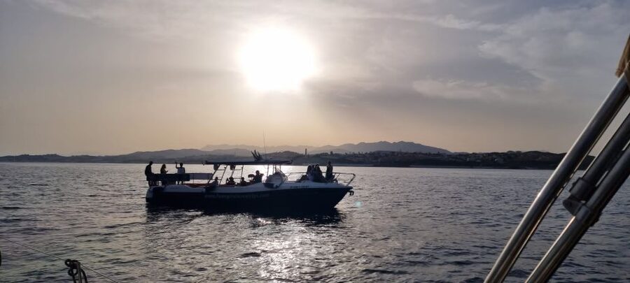 Fuengirola: Fantastic Dolphin Watching Yacht Tour with Drink - Key points to know before you book
