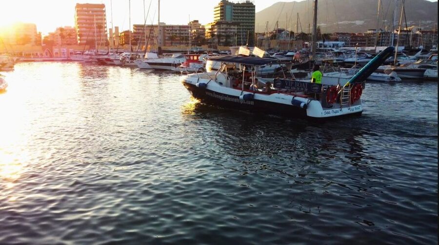 Fuengirola: Fantastic Dolphin Watching Yacht Tour with Drink - The return to Fuengirola