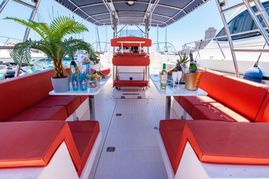Fuengirola: Fantastic Dolphin Watching Yacht Tour with Drink - The included drink and onboard comfort