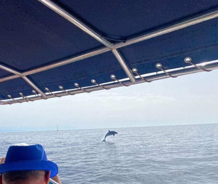 Fuengirola: Fantastic Dolphin Watching Yacht Tour with Drink - Photography tips for the Costa del Sol